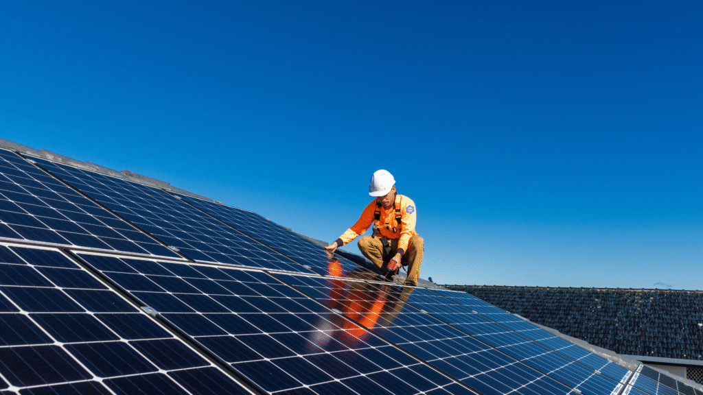 Diseño sin título (6)